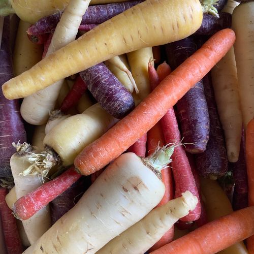 Photo de: Carotte colorée Bio